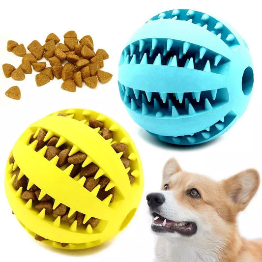 Fetch-n-Feed Ball